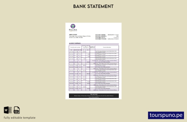 listo para imprimir plantilla de Excel de extracto bancario de Pakistán Meezan